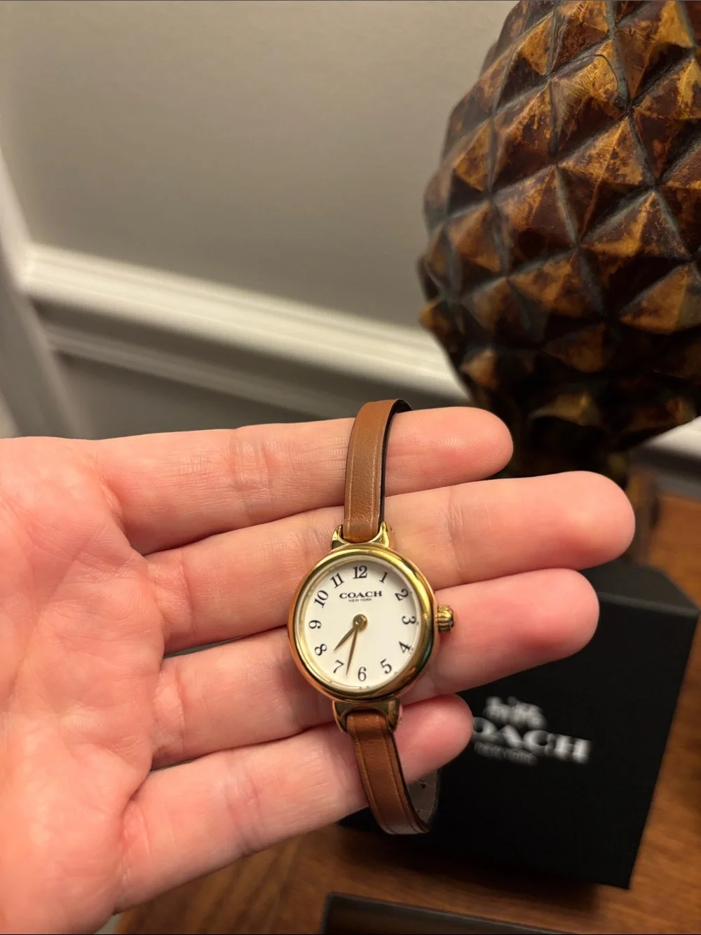 COACH Women's Brown Leather Strap Watch with Gold Case